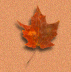 leaf.gif